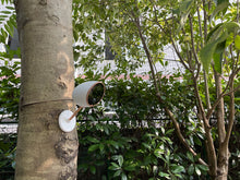 Load image into Gallery viewer, Scenes One Camera - 4 Pack