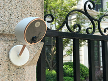 Load image into Gallery viewer, Scenes One Camera - 4 Pack